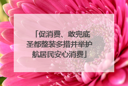 促消费、敢兜底 圣都整装多措并举护航居民安心消费