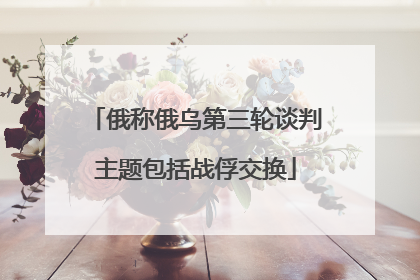 俄称俄乌第三轮谈判主题包括战俘交换
