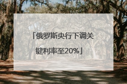 俄罗斯央行下调关键利率至20%