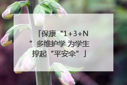 保康“1+3+N”多维护学 为学生撑起“平安伞”