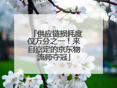 供应链损耗度仅万分之一！来自嘉定的京东物流师夺冠