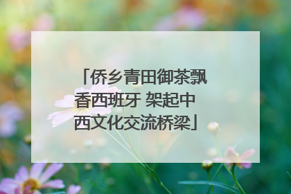 侨乡青田御茶飘香西班牙 架起中西文化交流桥梁