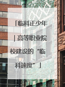 临科正少年｜高等职业院校建设的“临科速度”