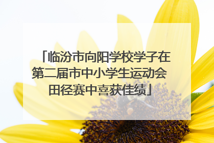 临汾市向阳学校学子在第二届市中小学生运动会田径赛中喜获佳绩