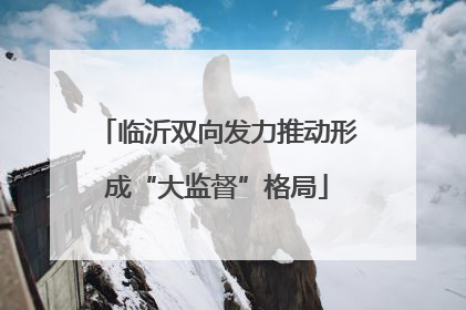 临沂双向发力推动形成“大监督”格局