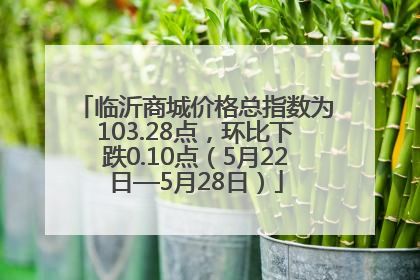 临沂商城价格总指数为103.28点，环比下跌0.10点（5月22日—5月28日）