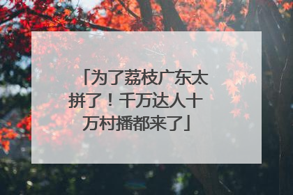 为了荔枝广东太拼了！千万达人十万村播都来了