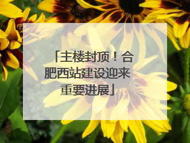 主楼封顶！合肥西站建设迎来重要进展
