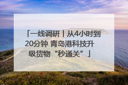 一线调研丨从4小时到20分钟 青岛港科技升级货物“秒通关”