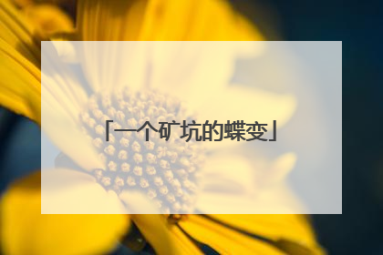 一个矿坑的蝶变