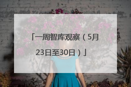 一周智库观察（5月23日至30日）