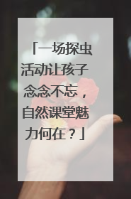 一场探虫活动让孩子念念不忘，自然课堂魅力何在？