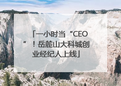 一小时当“CEO”！岳麓山大科城创业经纪人上线