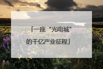 一座“光电城”的千亿产业征程