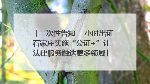 一次性告知 一小时出证 石家庄实施“公证+”让法律服务触达更多领域