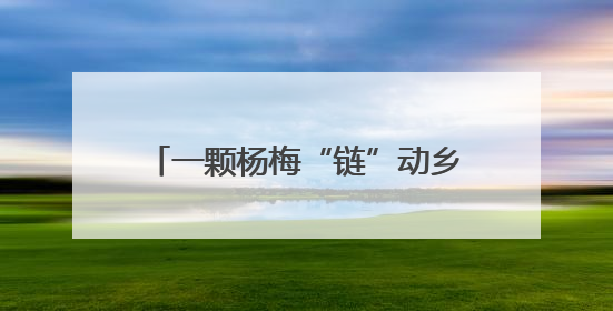 一颗杨梅“链”动乡村“产业共生圈”