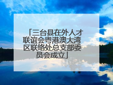三台县在外人才联谊会粤港澳大湾区联络处总支部委员会成立