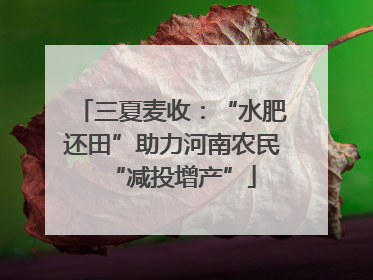 三夏麦收：“水肥还田”助力河南农民“减投增产”