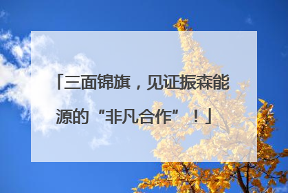 三面锦旗，见证振森能源的“非凡合作”！