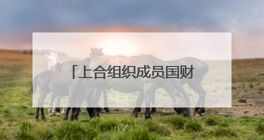 上合组织成员国财长和央行行长会议支持深化财金合作