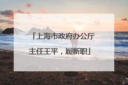 上海市政府办公厅主任王平，履新职