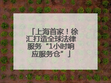上海首家！徐汇打造全球法律服务“1小时响应服务仓”