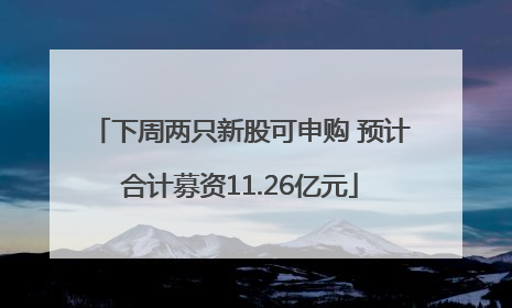 下周两只新股可申购 预计合计募资11.26亿元