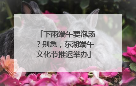 下雨端午要泡汤？别急，东湖端午文化节推迟举办