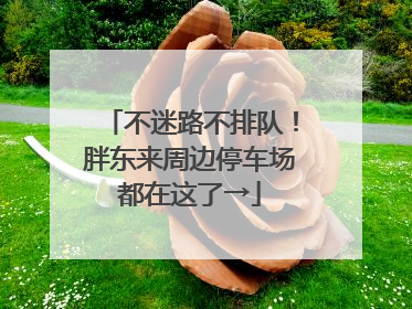 不迷路不排队！胖东来周边停车场都在这了→