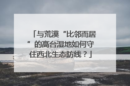 与荒漠“比邻而居”的高台湿地如何守住西北生态防线？