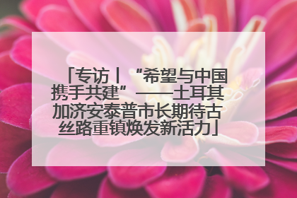 专访丨“希望与中国携手共建”——土耳其加济安泰普市长期待古丝路重镇焕发新活力