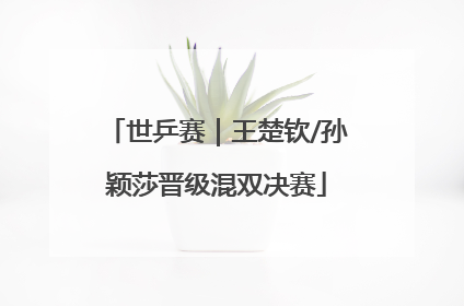 世乒赛｜王楚钦/孙颖莎晋级混双决赛