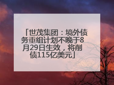 世茂集团：境外债务重组计划不晚于8月29日生效，将削债115亿美元