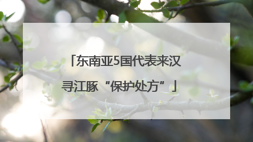 东南亚5国代表来汉寻江豚“保护处方”