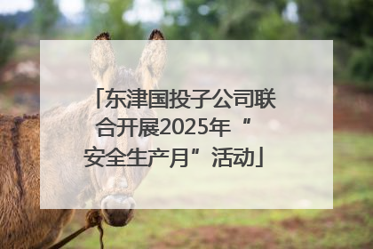 东津国投子公司联合开展2025年“安全生产月”活动