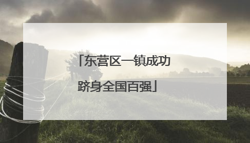 东营区一镇成功跻身全国百强