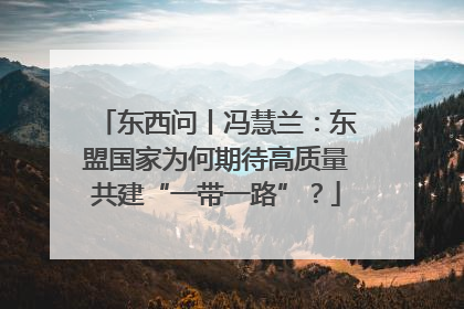 东西问丨冯慧兰：东盟国家为何期待高质量共建“一带一路”？