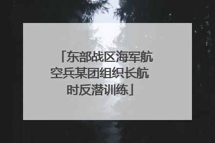 东部战区海军航空兵某团组织长航时反潜训练