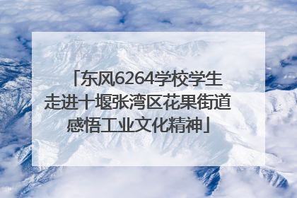 东风6264学校学生走进十堰张湾区花果街道感悟工业文化精神