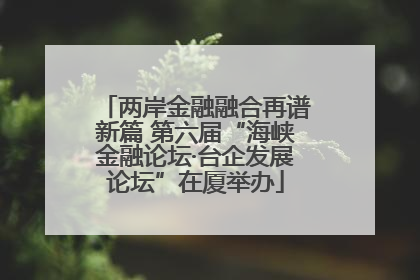 两岸金融融合再谱新篇 第六届“海峡金融论坛·台企发展论坛”在厦举办