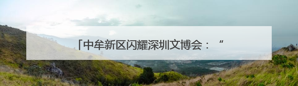中牟新区闪耀深圳文博会：“文旅+时尚”融合展现新魅力