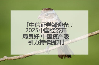 中信证券邹迎光：2025中国经济开局良好 中国资产吸引力持续提升