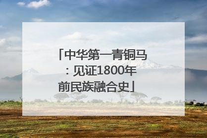 中华第一青铜马：见证1800年前民族融合史