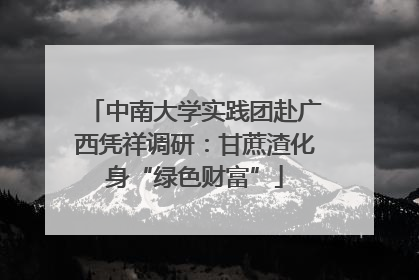 中南大学实践团赴广西凭祥调研：甘蔗渣化身“绿色财富”