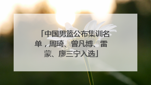 中国男篮公布集训名单，周琦、曾凡博、雷蒙、廖三宁入选