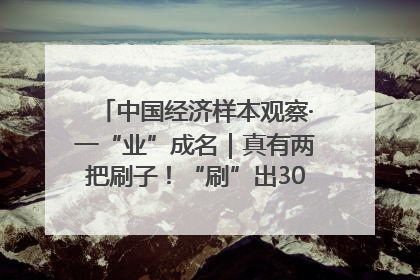 中国经济样本观察·一“业”成名｜真有两把刷子！“刷”出30亿级“颜值经济”