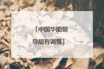 中国华能领导层有调整