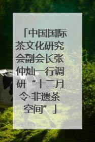 中国国际茶文化研究会副会长张仲灿一行调研“十二月令·非遗茶空间”