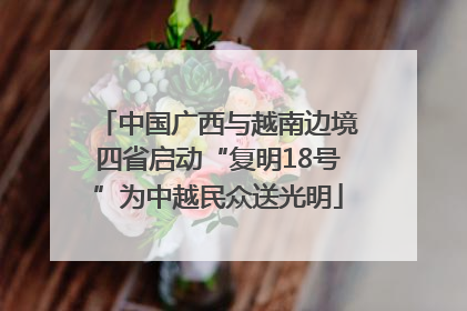 中国广西与越南边境四省启动“复明18号”为中越民众送光明