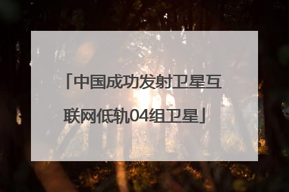 中国成功发射卫星互联网低轨04组卫星